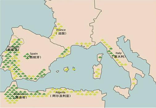 软木全球分布.jpg