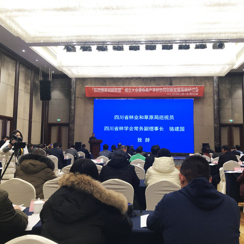 栎树国家创新联盟.jpg