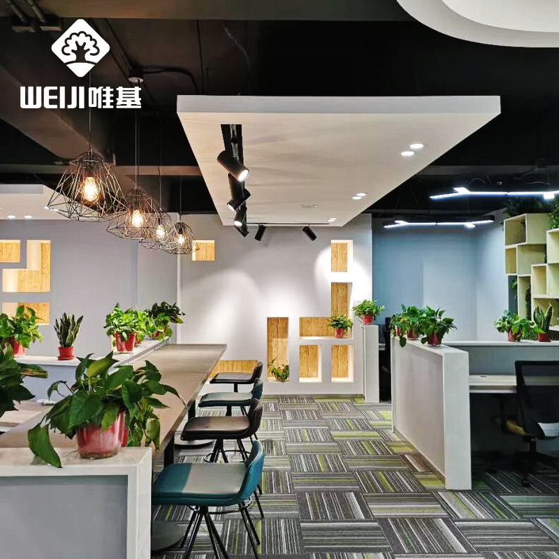 北京湖南青创会.jpg