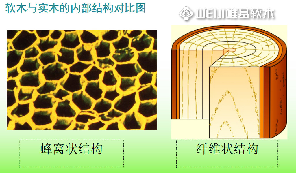 什么是软木.png